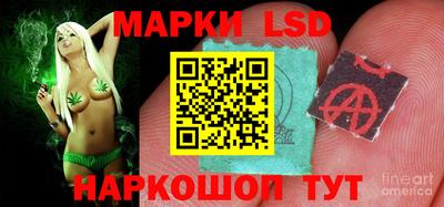 шишки Лесосибирск