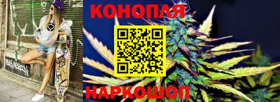 шишки Лесосибирск