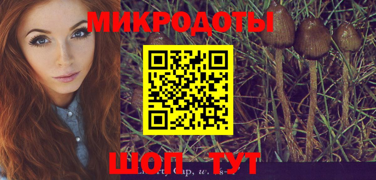 Галлюциногенные грибы GOLDEN TEACHER Дмитров