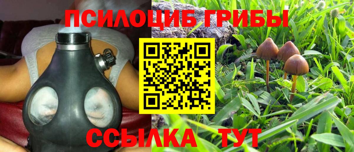 Псилоцибиновые грибы MAGIC MUSHROOMS  Вход с VPN  Дмитров 