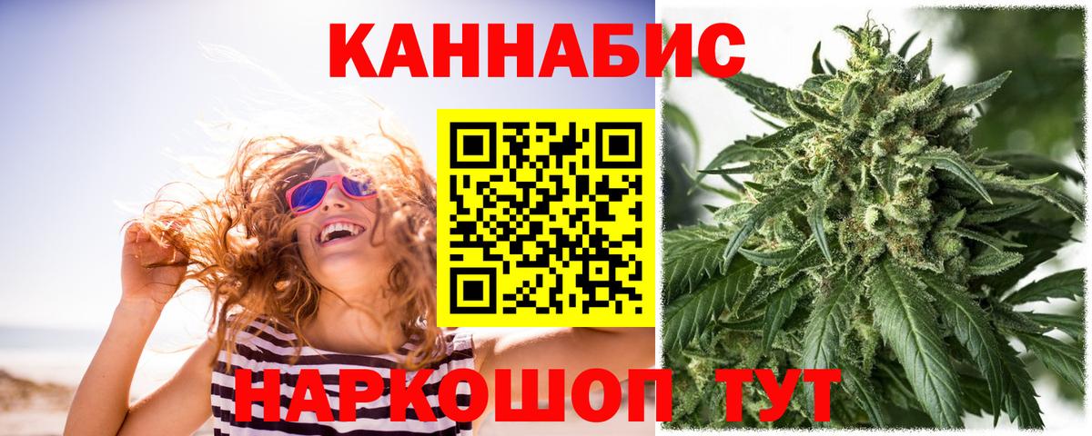 Каннабис планчик Дмитров